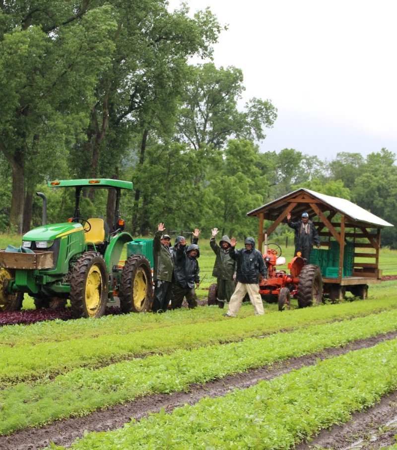 Farm Sourcing