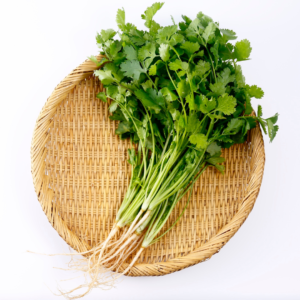 Coriander (Dhaniya)