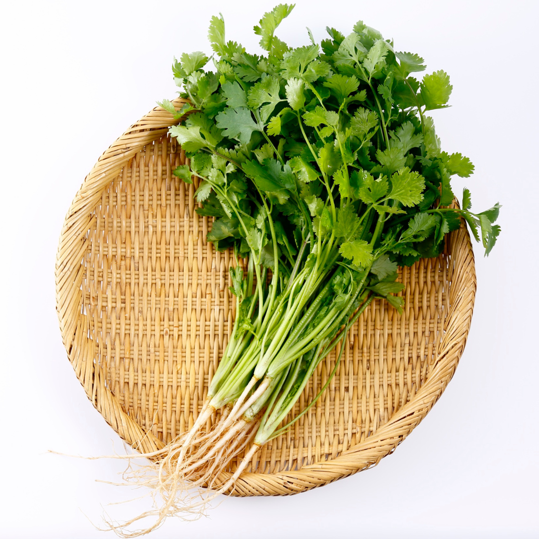 Coriander (Dhaniya)